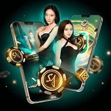 dk999 login